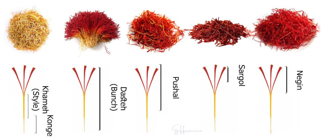 News - Saffron Grades - Sina Yavari